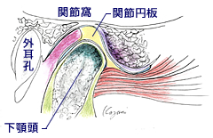 模式図