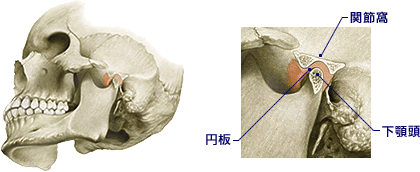 良い咬合